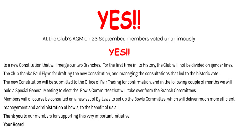 YES Constitution Flyer